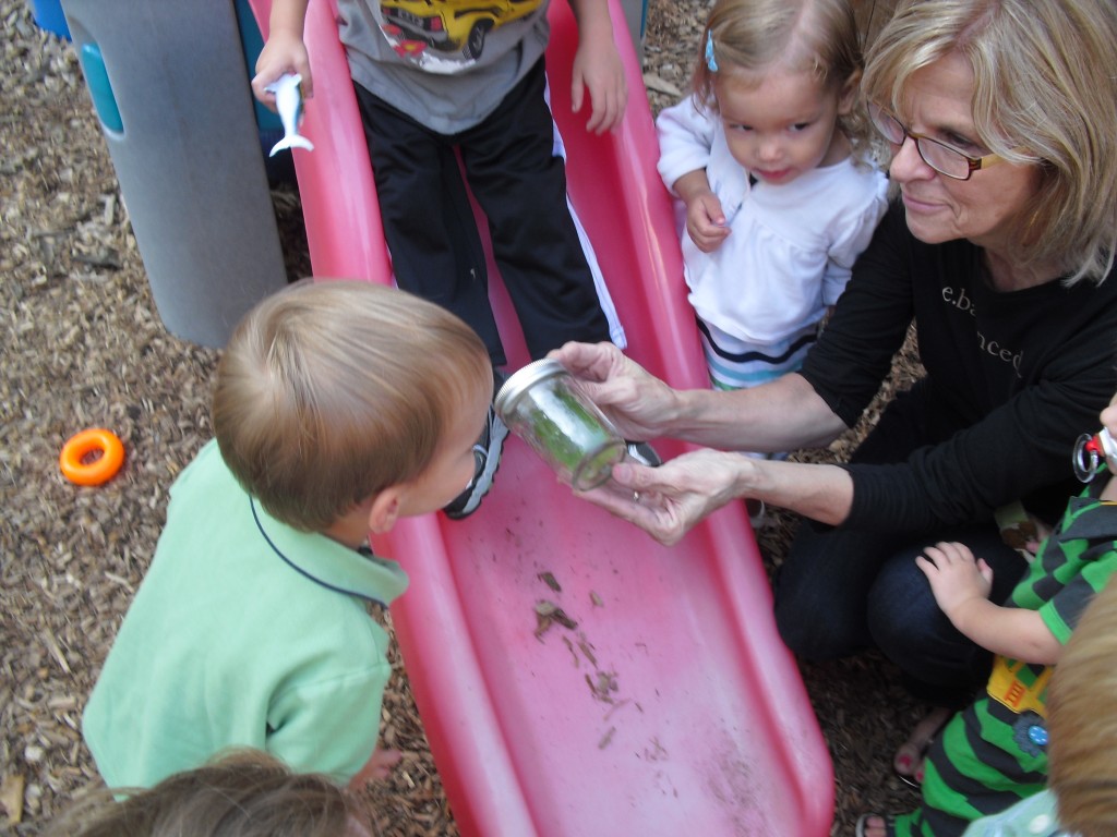 Found a leaf bug, "Teachable Moment"!