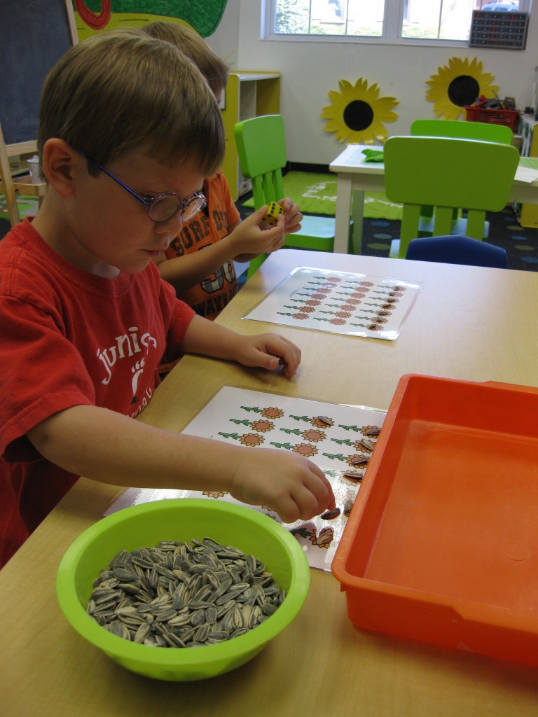 Placing the Seeds on the Math Grid