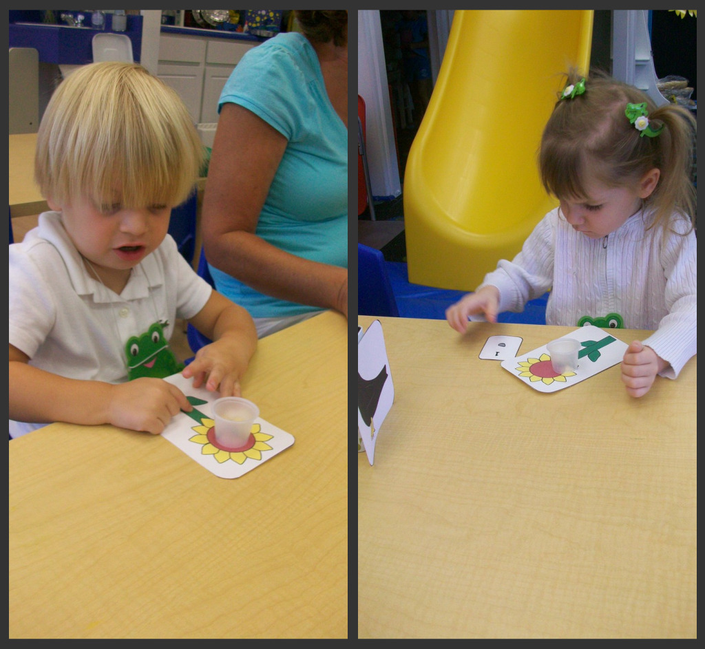 Sunflower counting