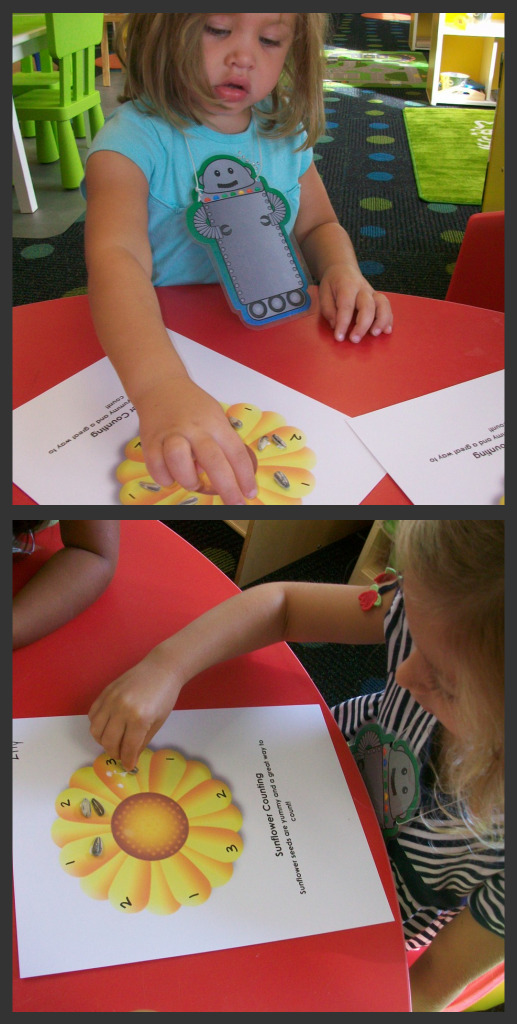 More sunflower counting