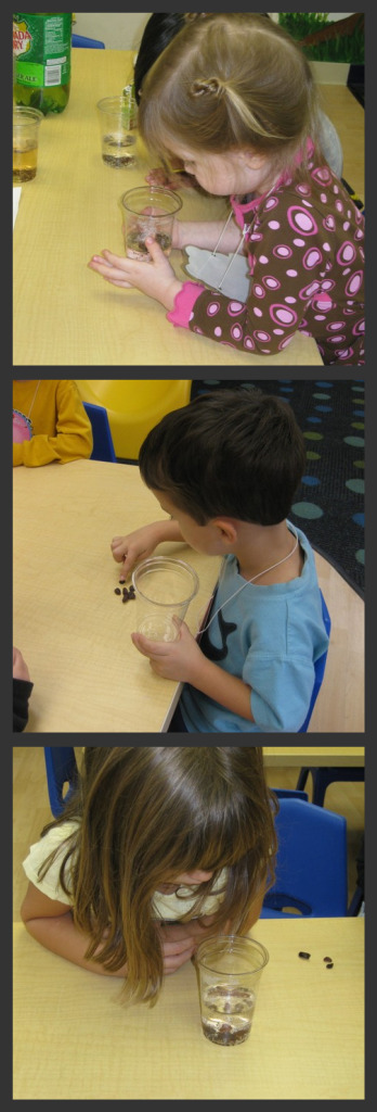 Dancing Raisins Science Experiment