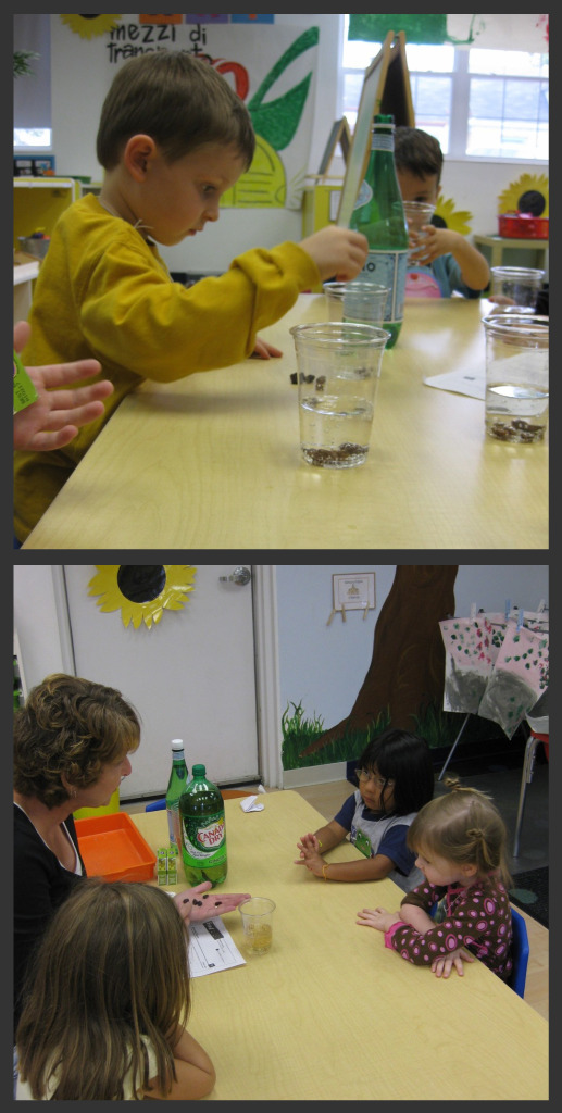 Dancing Raisins Collage 2