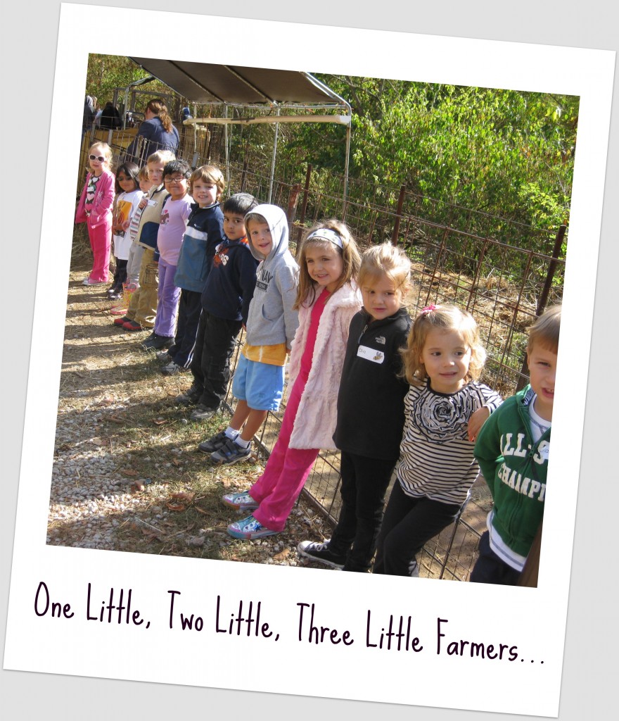 Group Down the Line Poloroid